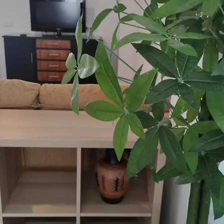 Casa Tia Pilar Semesterbostad Algodonales